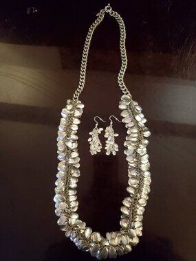 Lee Angel Roxanne  Assoulin Matte Silver Finish Long Necklace and Earrings Set